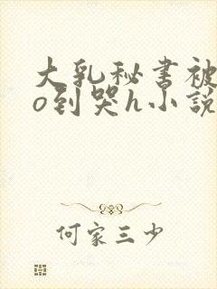 大乳秘书被cao到哭h小说