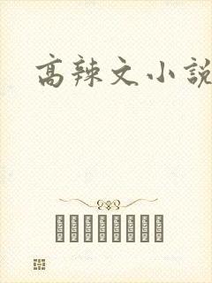高辣文小说