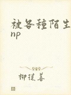 被各种陌生人 np