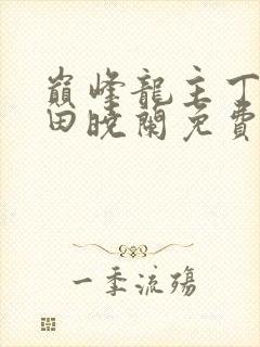 巅峰龙主丁长顺田晓兰免费阅读