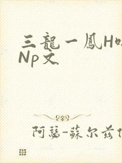 三龙一凤H啪肉Np文