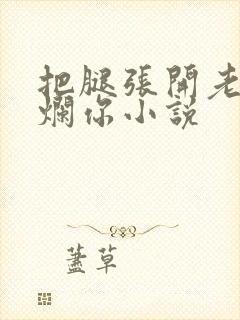 把腿张开老子臊烂你小说