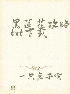 黑莲花攻略手册txt下载