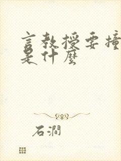 言教授要撞坏了是什么