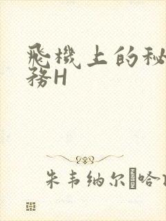 飞机上的秘密服务H