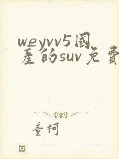 weyvv5国产的suv免费