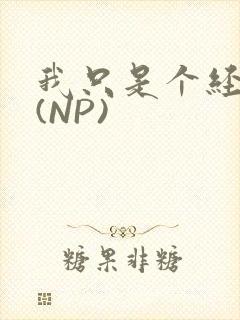 我只是个经纪人(NP)