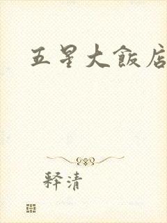 五星大饭店小说