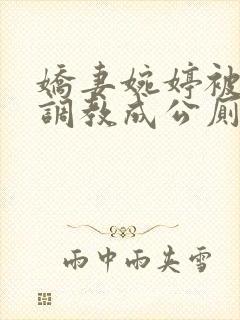 娇妻婉婷被黑人调教成公厕小说