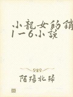 小龙女的销魂夜1一6小说