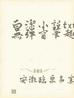 白洁小说txt无弹窗笔趣阁