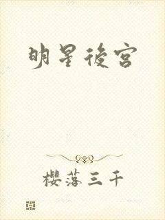 明星后宫