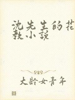 沈先生的花式调教小说