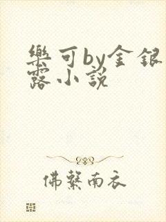 乐可by金银花露小说