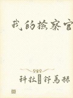 我的检察官先生