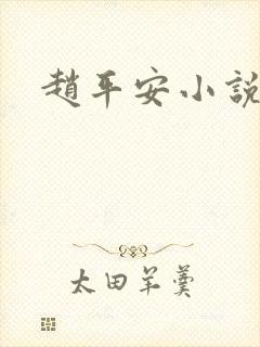 赵平安小说主角