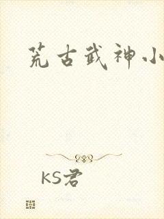 荒古武神小说