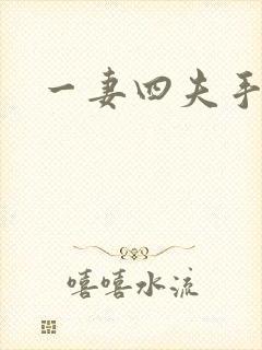 一妻四夫手记