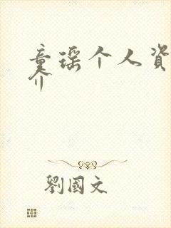 童瑶个人资料简介