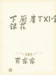 下厨房TXl金银花