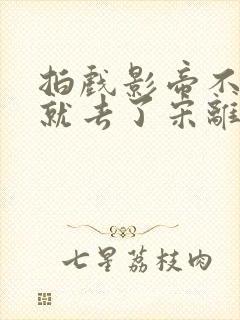 拍戏影帝不小心就去了宋离