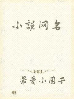 小说网名