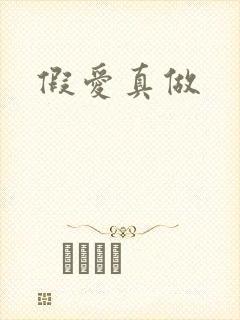 假爱真做