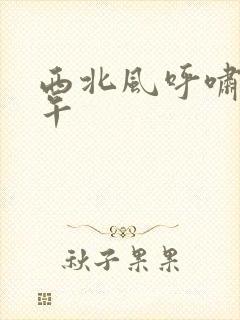 西北风呼啸的中午