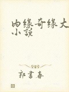 内缘奇缘大团圆小说