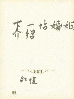 下一站婚姻剧情介绍