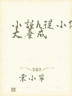 小说h从小做到大养成