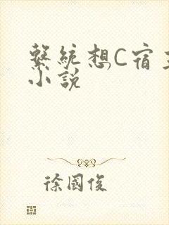 系统想C宿主的小说