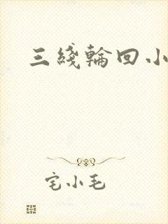 三线轮回小说