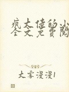 疯大佬的小玩物全文免费阅读小说