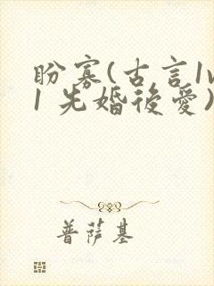 盼寡(古言1v1 先婚后爱)