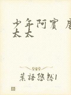 少年阿宾 房东太太