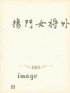 杨门女将外传