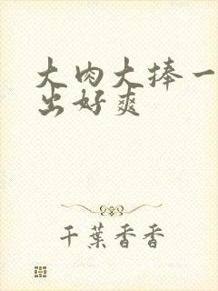 大肉大捧一进一出好爽