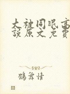 大被同眠高粱小说原文免费阅读