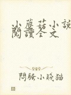 小蘑菇小说免费阅读全文