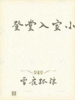 登堂入室小说