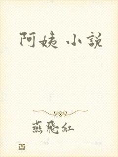 阿姨 小说