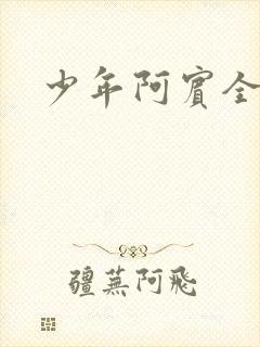 少年阿宾全集