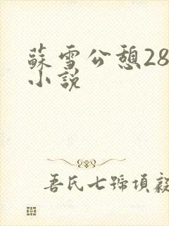苏雪公憩28篇小说