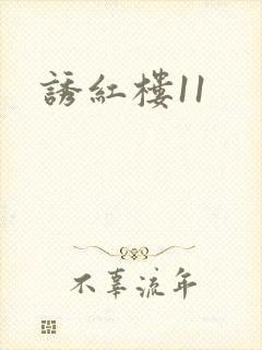 诱红楼11
