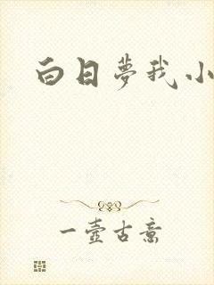 白日梦我小说