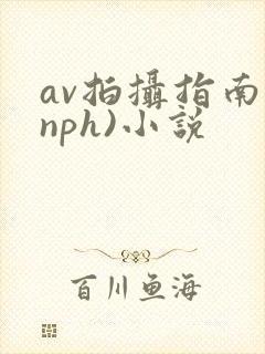 av拍摄指南(nph)小说