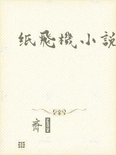 纸飞机小说
