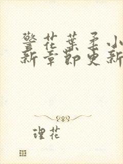 警花叶柔小说最新章节更新