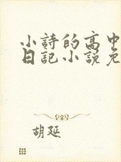 小诗的高中成长日记小说免费阅读